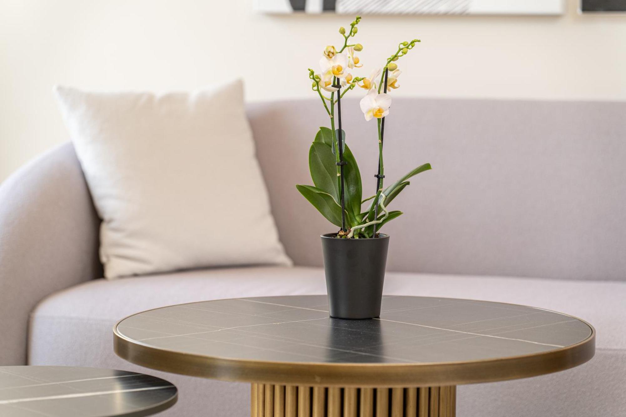 Kantada Central Suite Argostolion Dış mekan fotoğraf
